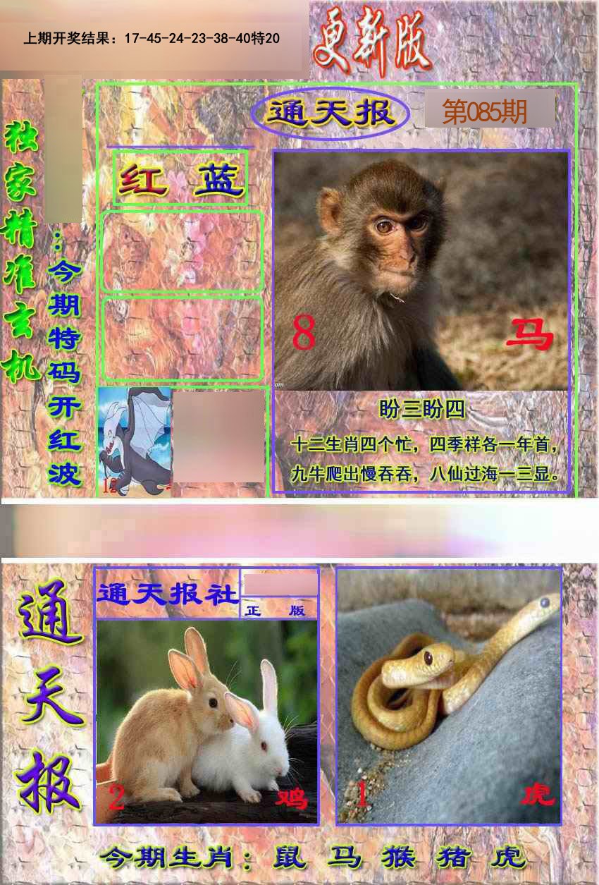 2025085期新通报