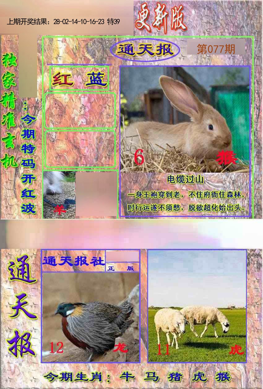 2025077期新通报