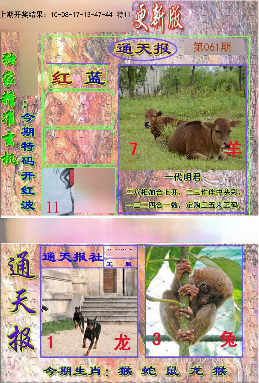 2025061期新通报