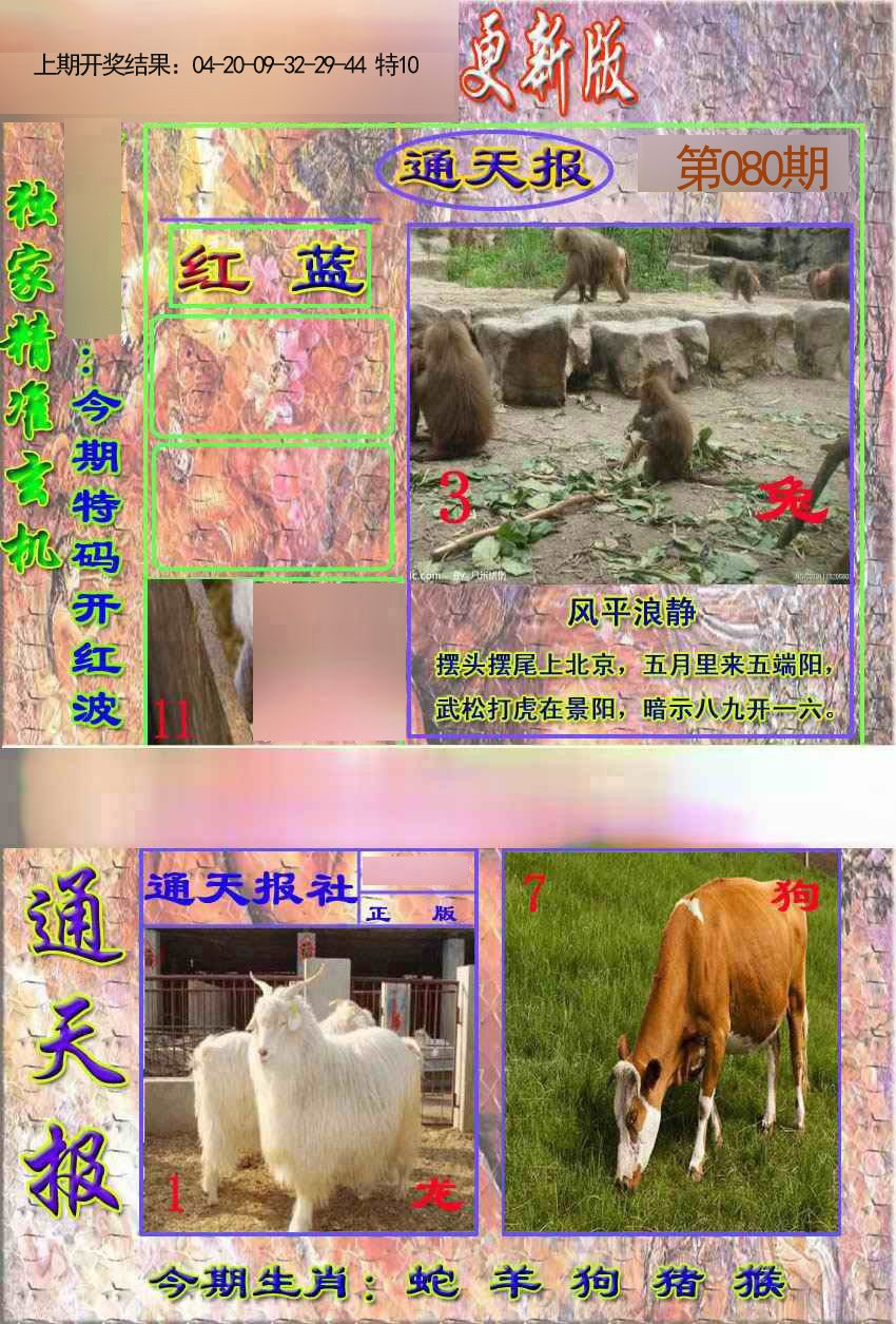 2025080期新通报