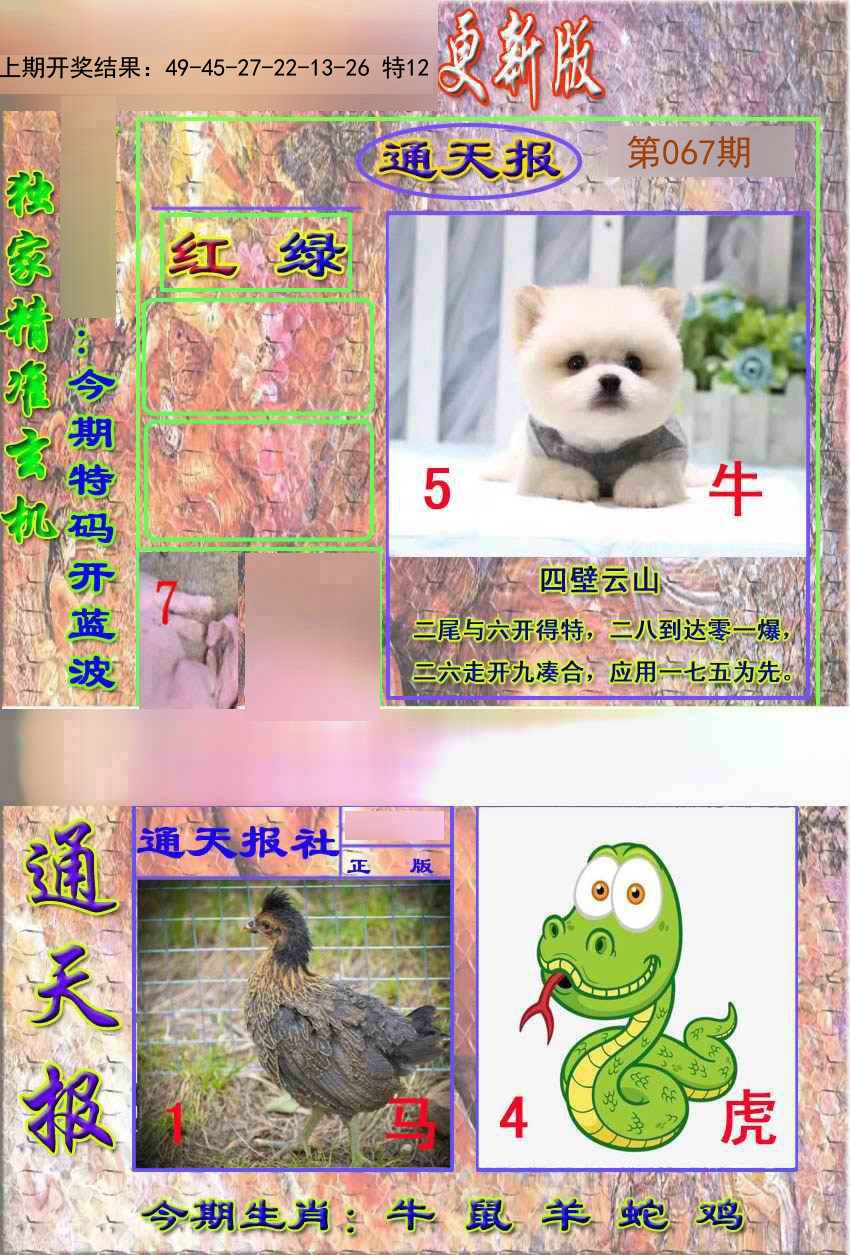 2025067期新通报