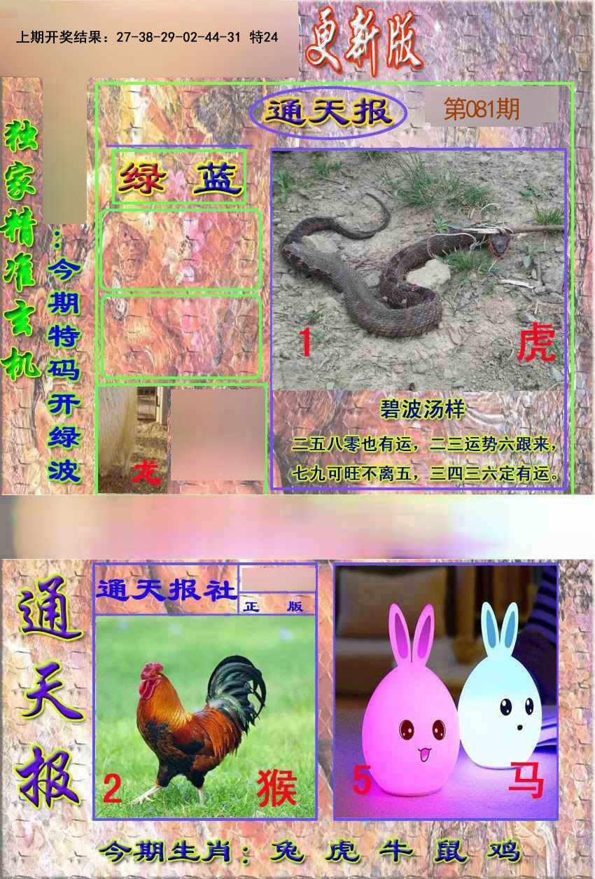 2025081期新通报