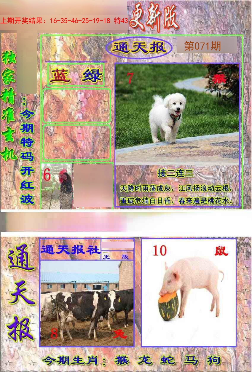 2025071期新通报