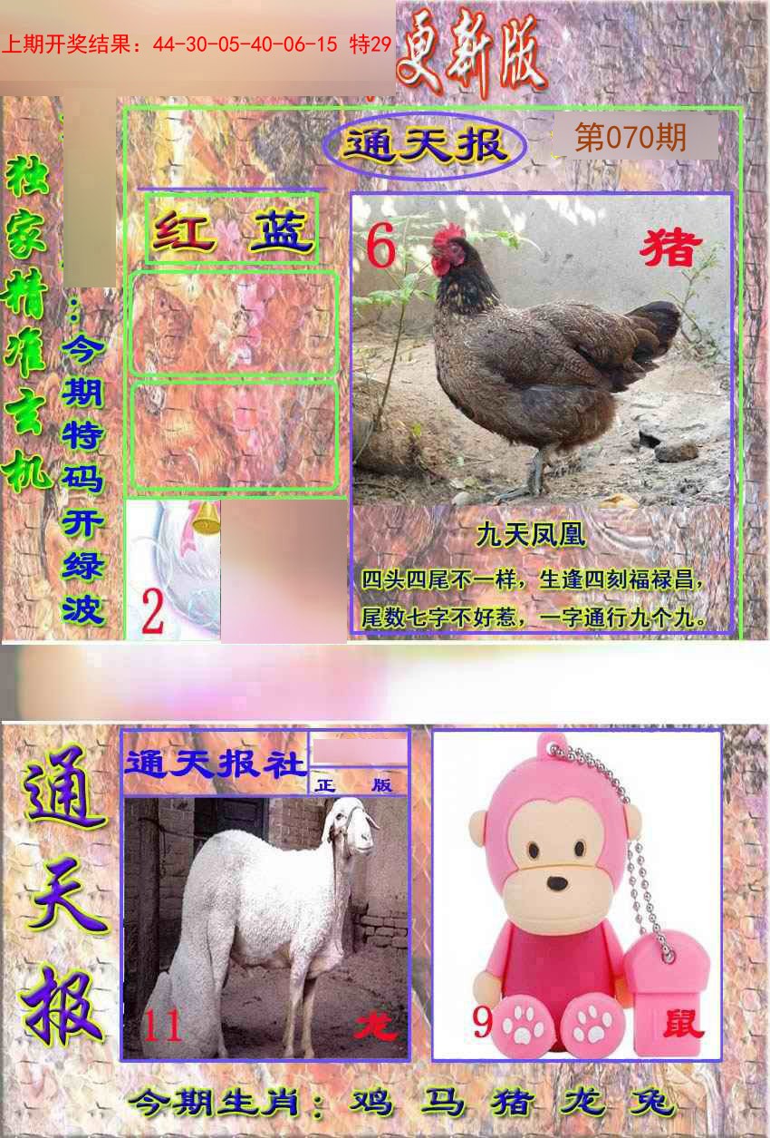 2025070期新通报