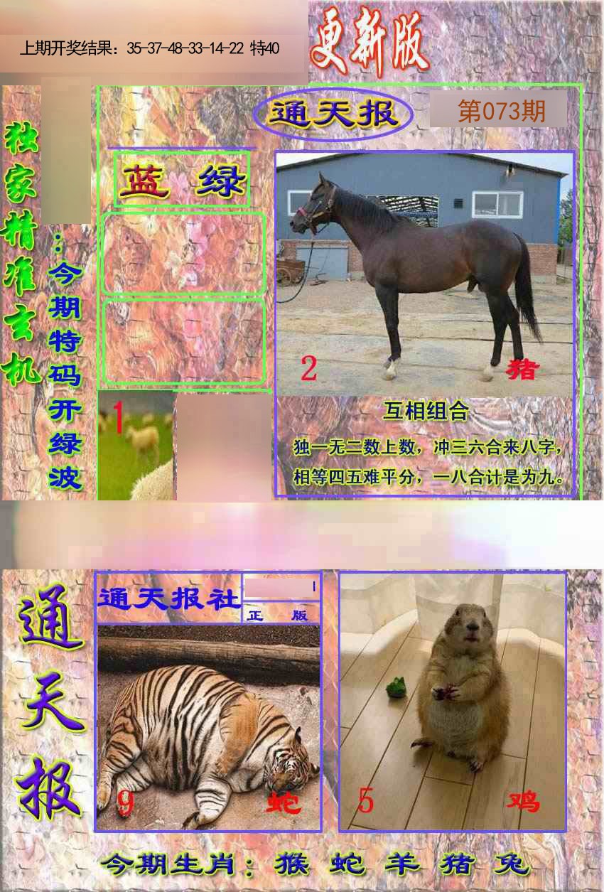 2025073期新通报