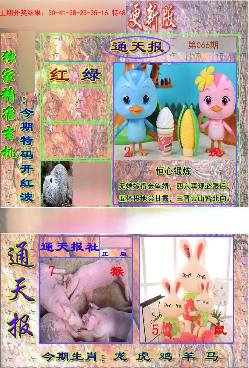 2025066期新通报