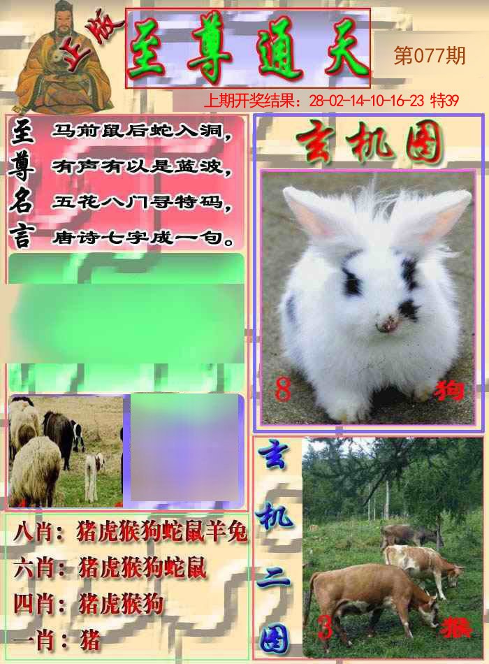 2025077期至通报