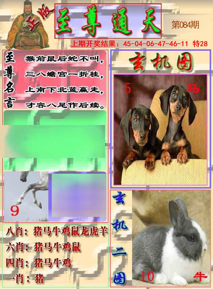 2025084期至通报