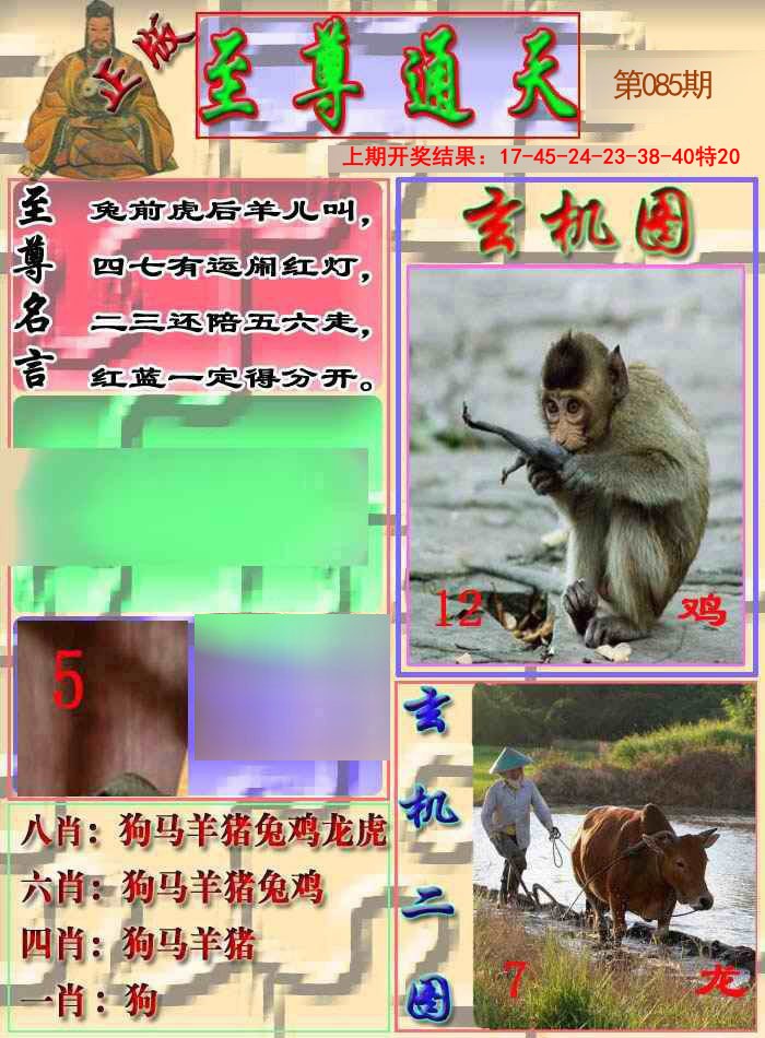 2025085期至通报