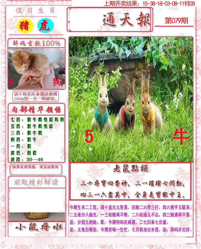 2025079期马经通天报