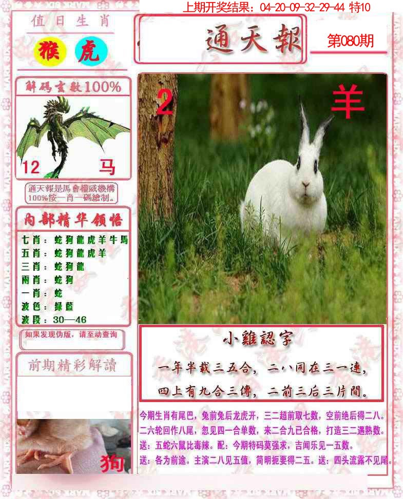 2025080期马经通天报
