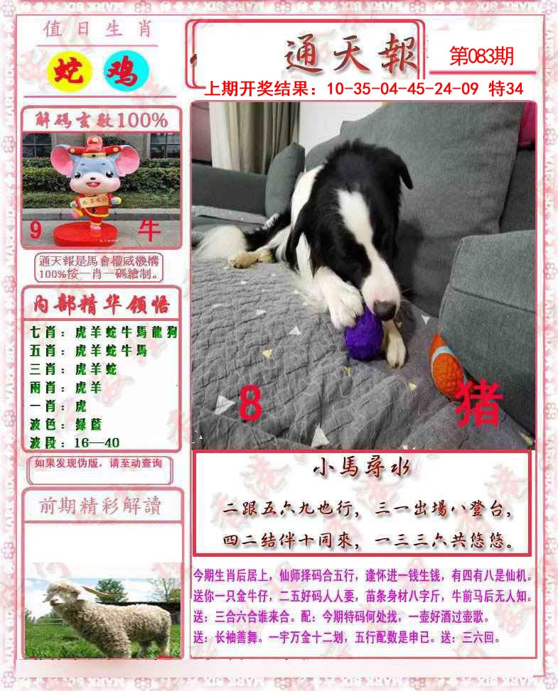 2025083期马经通天报