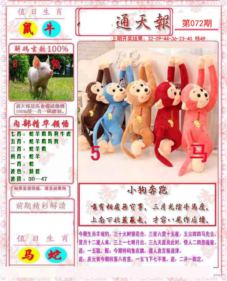 2025072期马经通天报