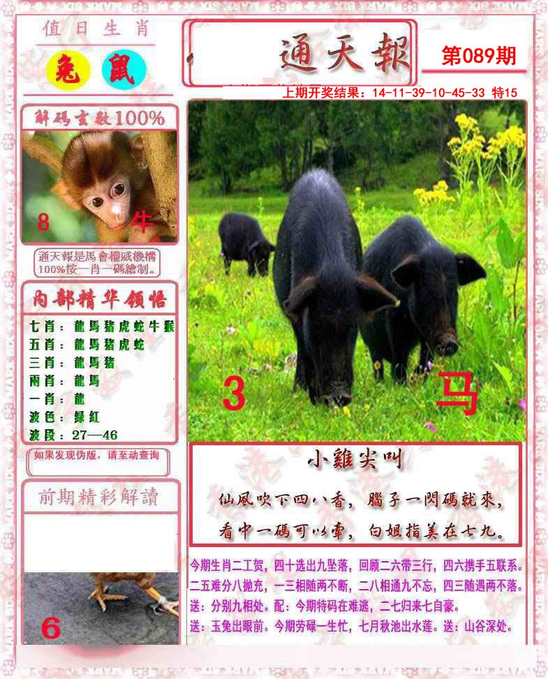 2025089期马经通天报