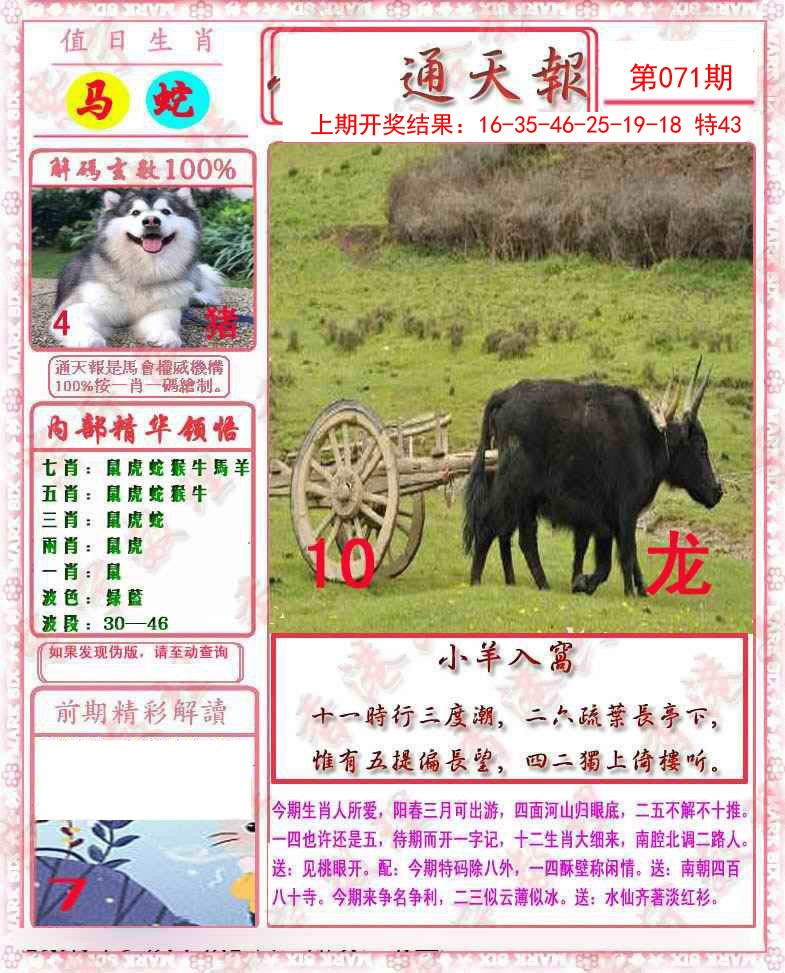 2025071期马经通天报