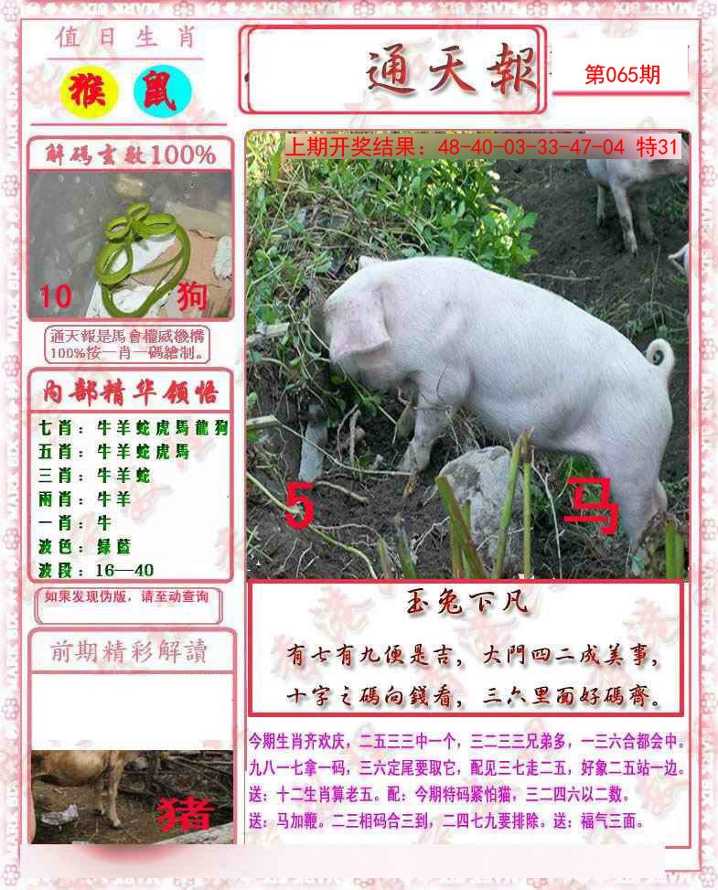 2025065期马经通天报