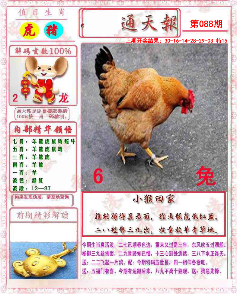 2025088期马经通天报