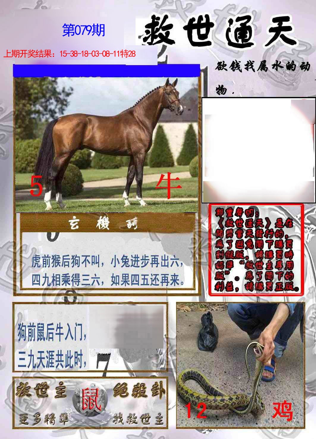 2025079期救世通天报