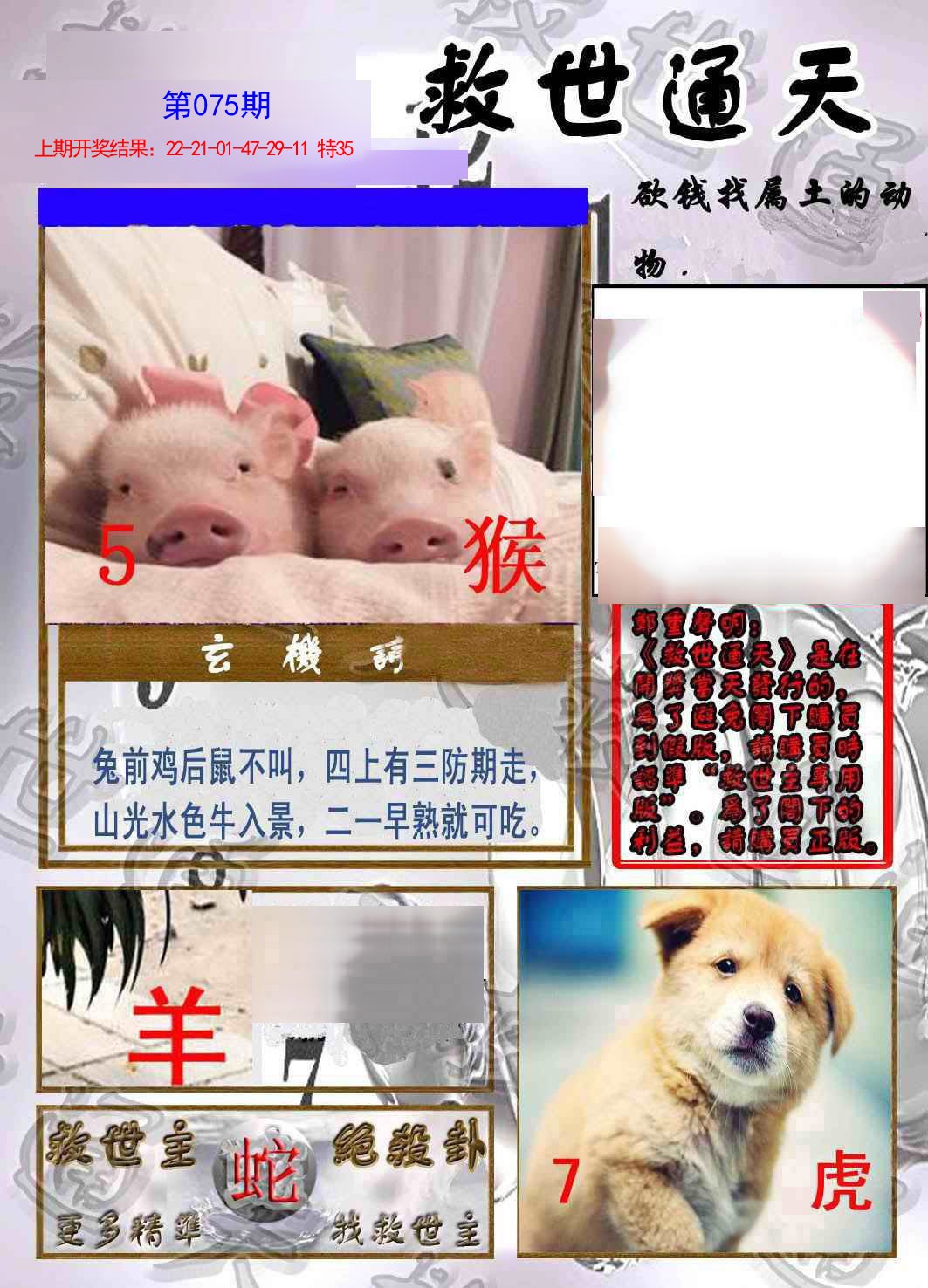 2025075期救世通天报