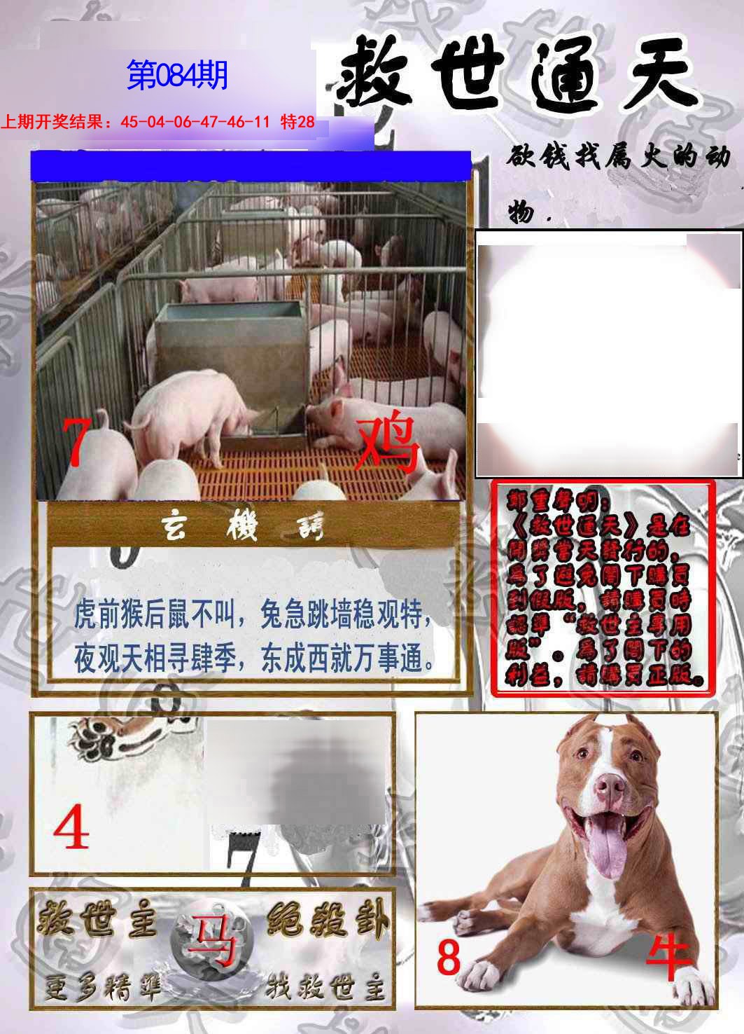 2025084期救世通天报