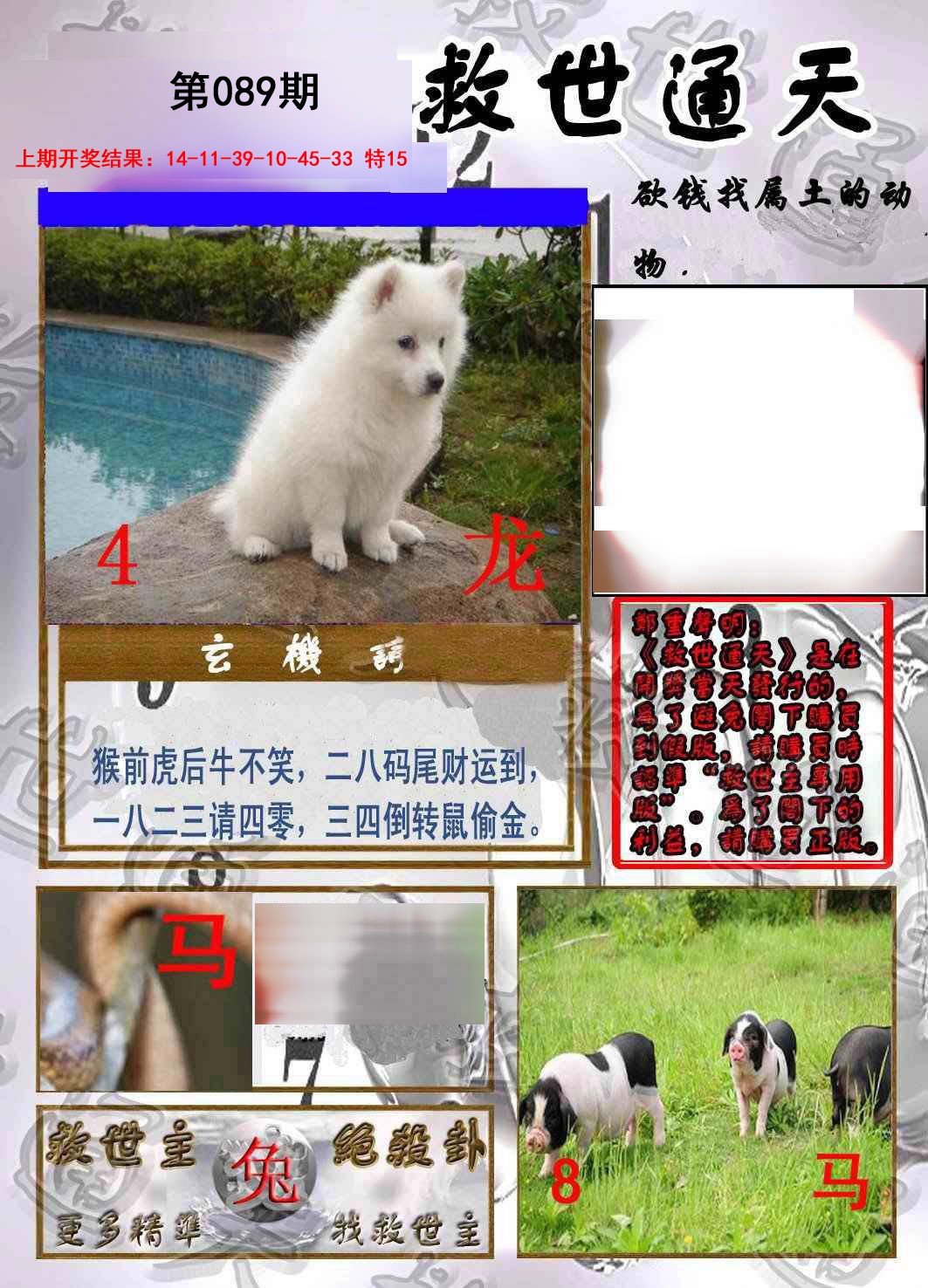 2025089期救世通天报