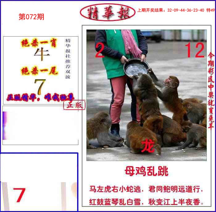 2025072期新精华报报