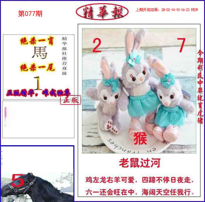 2025077期新精华报报
