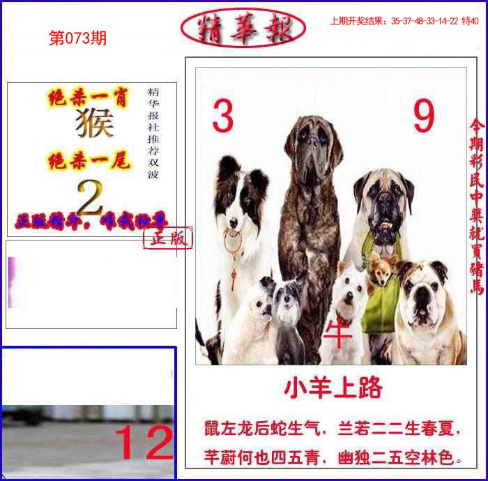 2025073期新精华报报