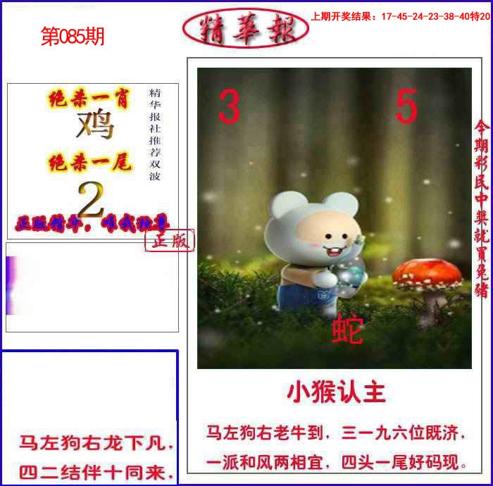 2025085期新精华报报