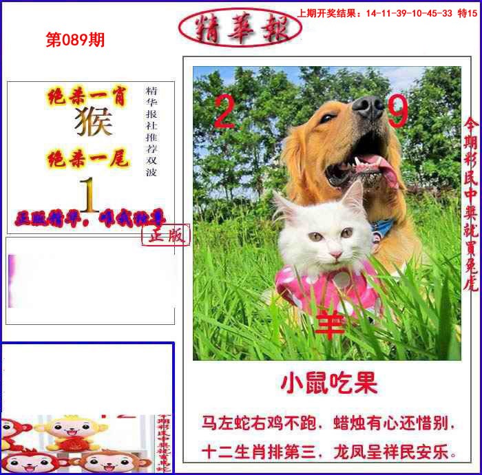 2025089期新精华报报