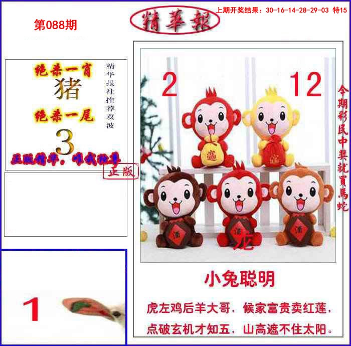 2025088期新精华报报