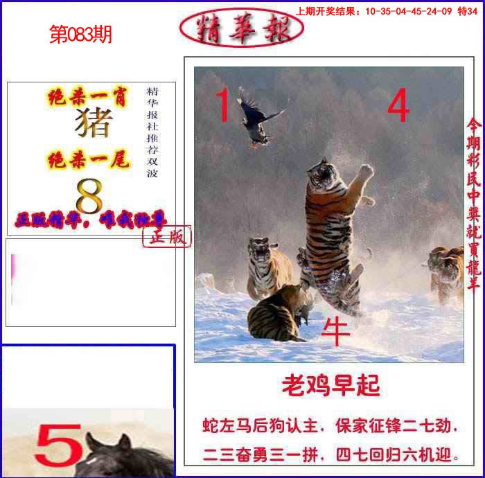 2025083期新精华报报