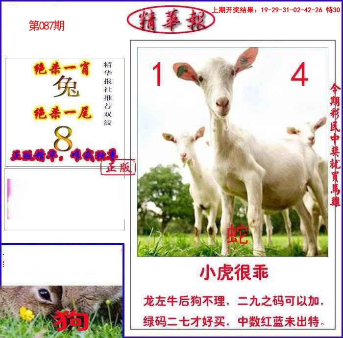 2025087期新精华报报