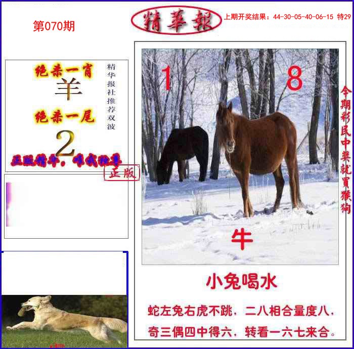 2025070期新精华报报