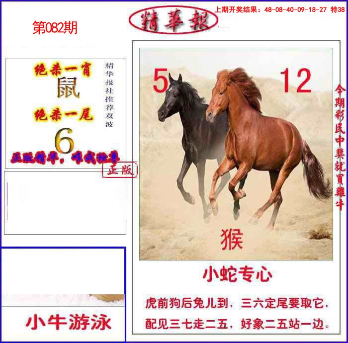 2025082期新精华报报