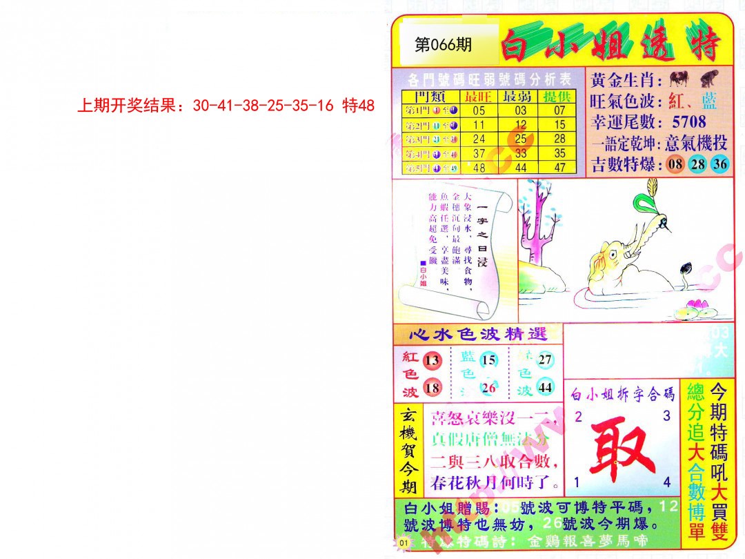 2025066期白小姐透特