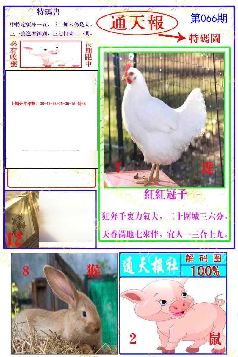 2025066期通天特解图