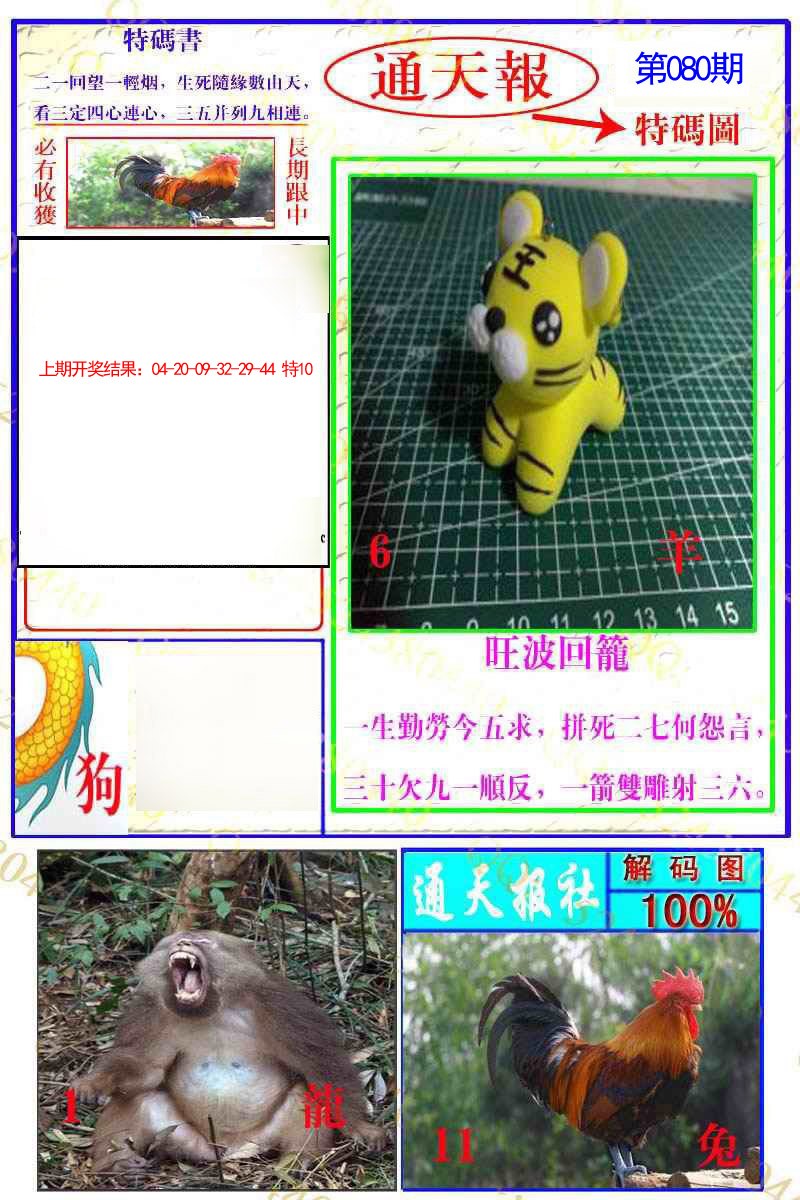 2025080期通天特解图