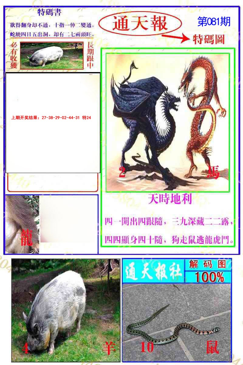 2025081期通天特解图