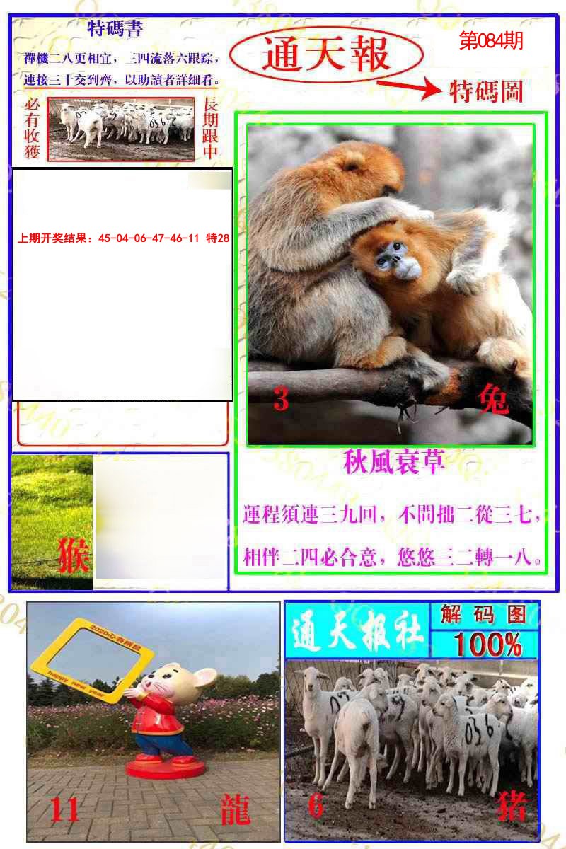 2025084期通天特解图