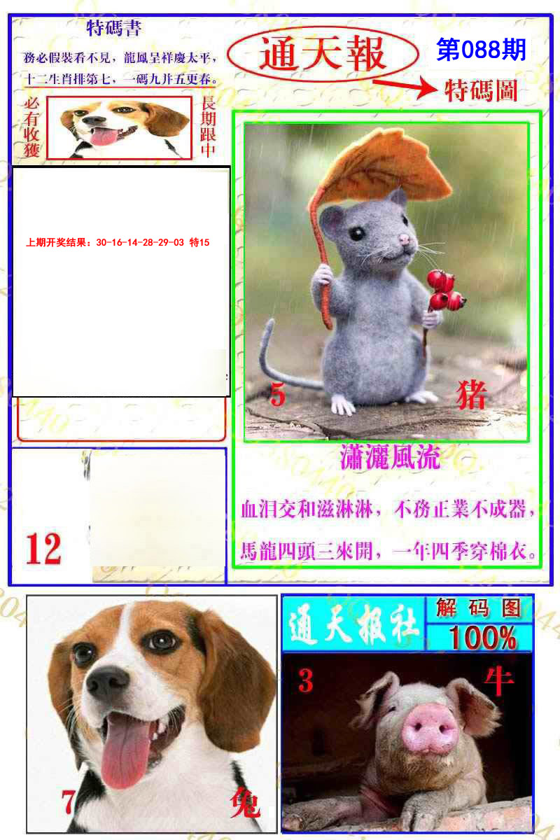 2025088期通天特解图
