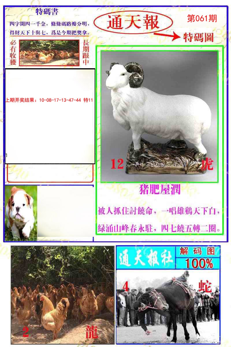 2025061期通天特解图