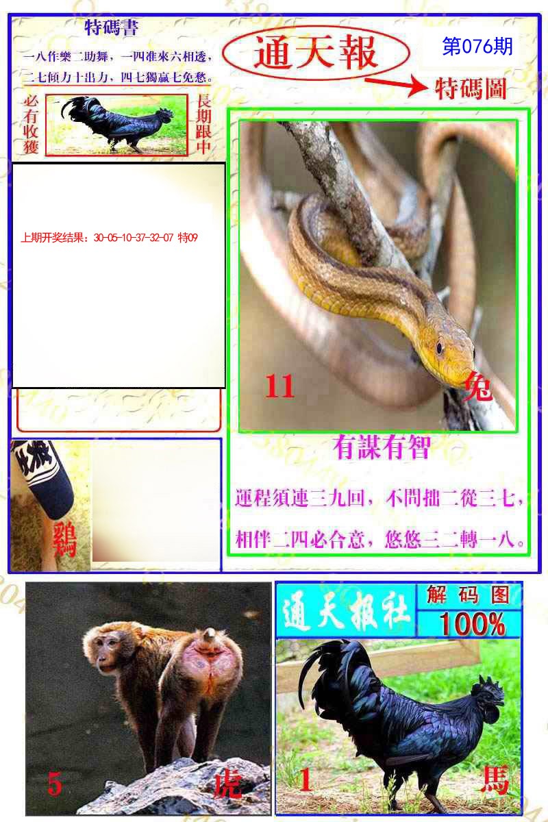 2025076期通天特解图
