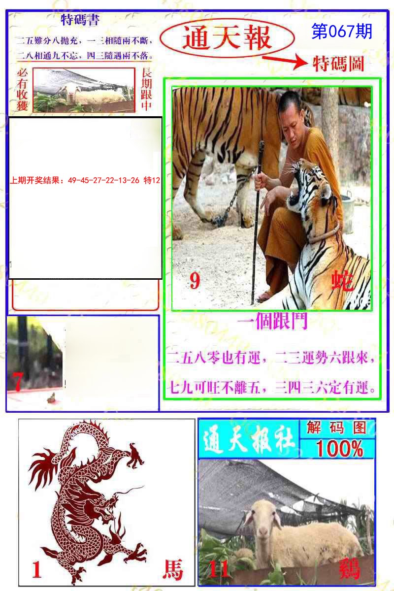 2025067期通天特解图