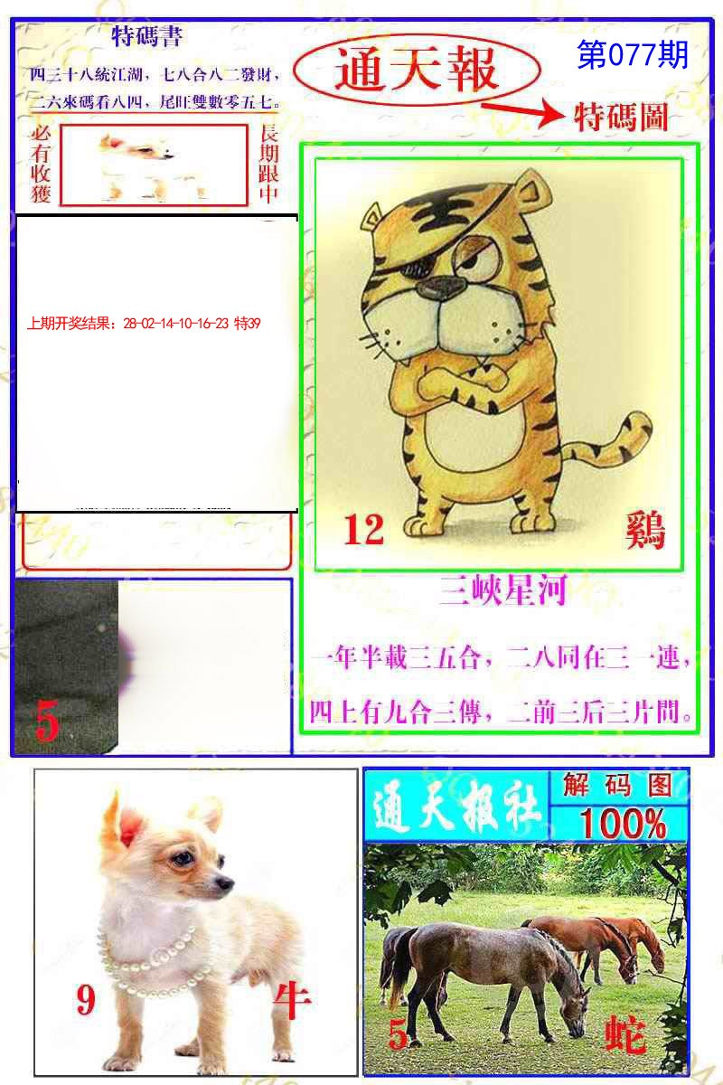 2025077期通天特解图