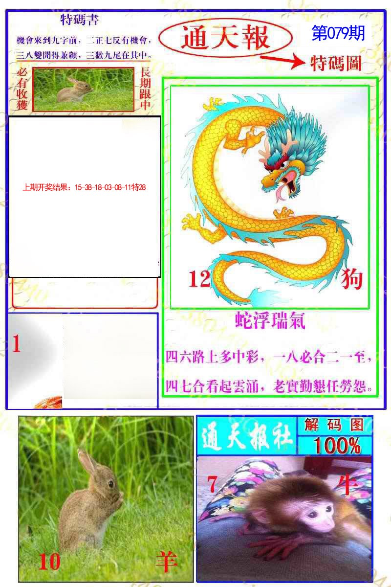 2025079期通天特解图