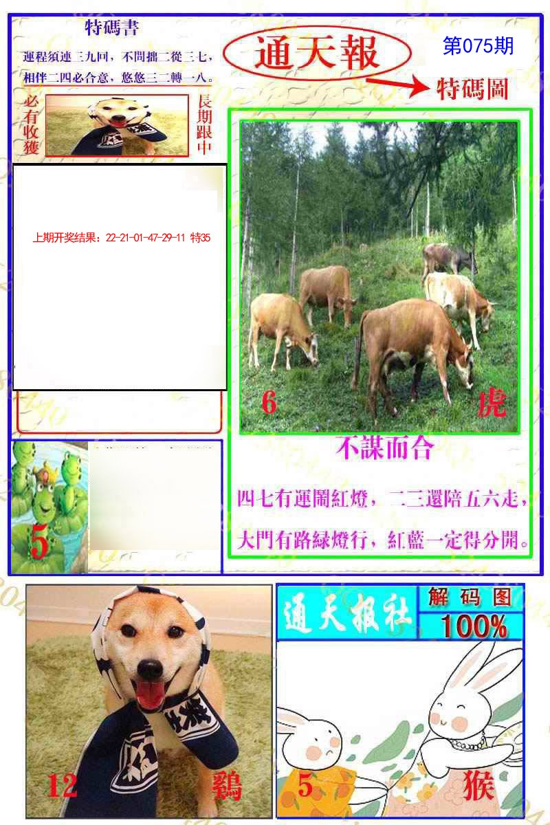 2025075期通天特解图