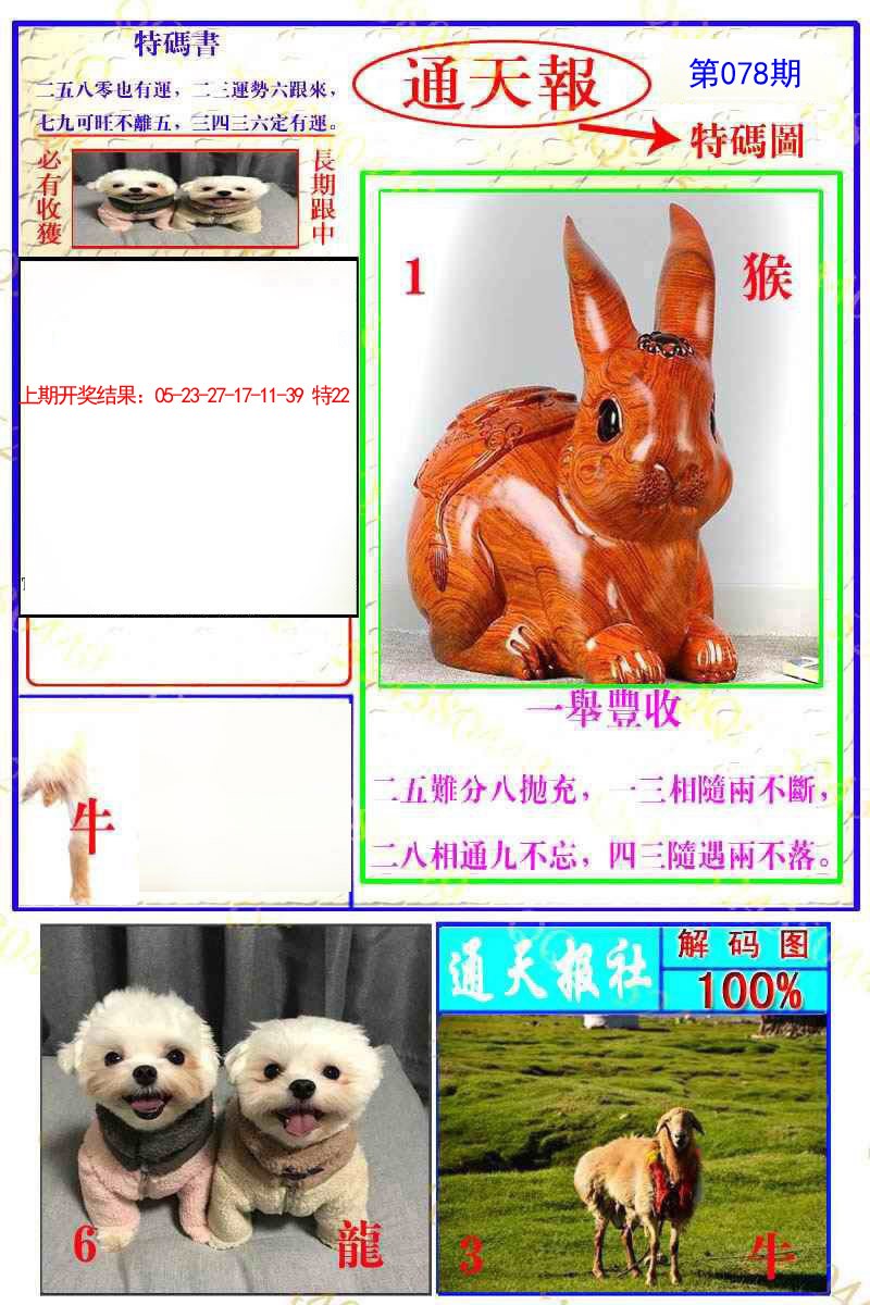 2025078期通天特解图