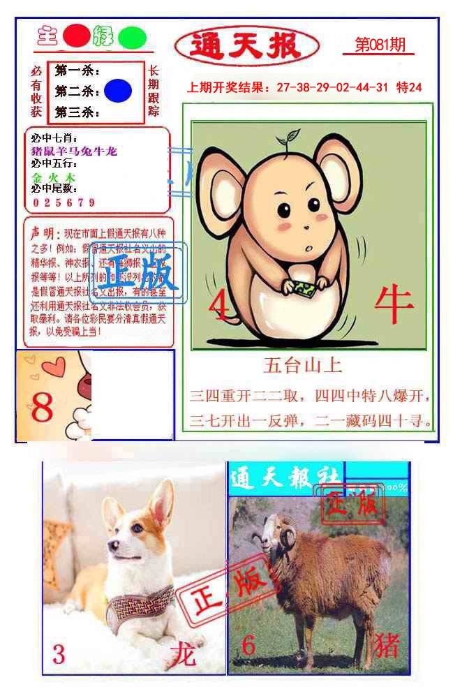 2025081期通天杀波图1