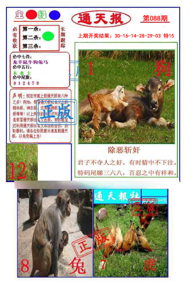 2025088期通天杀波图1